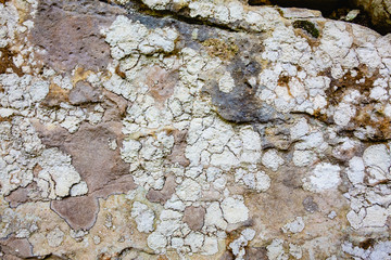 Closeup - beautiful structure of an ancient rock texture formation. Concept of natural background and screen saver. Advertising space