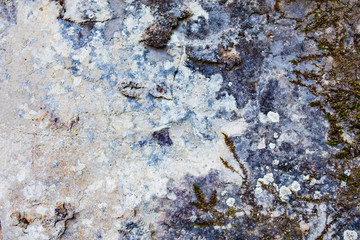 Closeup - beautiful structure of an ancient rock texture formation. Concept of natural background and screen saver. Advertising space