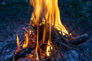 Campfire. Fire for cooking.