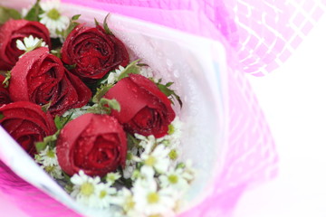 bouquet of pink roses