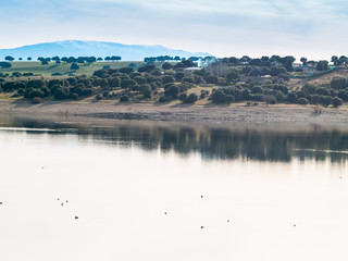 Landscape of a reservoir and mountains in a day with fog and clouds and birds swimming and flying in in La Maya Reservoir (Salamanca)