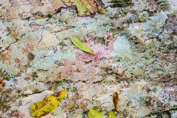 Closeup - beautiful structure of an ancient rock texture formation. Concept of natural background...