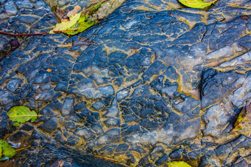 Closeup - beautiful structure of an ancient rock texture formation. Concept of natural background and screen saver. Advertising space