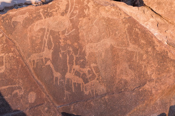 rock carvings by Twyfelfontein