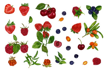 A set of individual elements of the berries. Watercolour. Hand drawn illustration. Design elements on a white background.