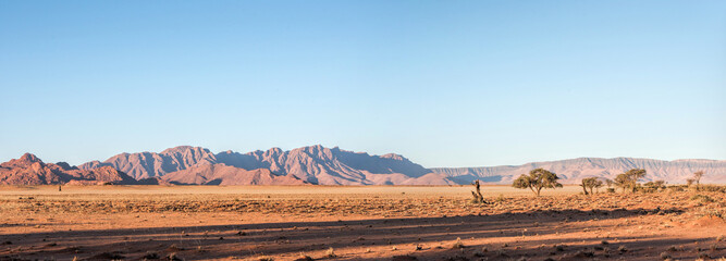 acacias and mountain in the Namib desert