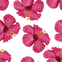 Watercolour illustration hand painted. Seamless floral pattern with hibiscus flowers. Floral pattern for fabric or wallpaper. Perfect for fabric, wrapping paper, background.