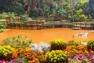 Colorful flowers and orange water. Beautiful flowers at Doi Tung royal villa. Take a picture from Chiangrai Province, Thailand.