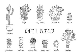 House Plants in decorative pots with a handwritten title