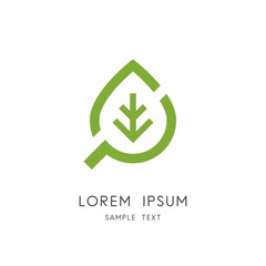 Leaf and search logo - plant and loupe or magnifier symbol. Herbal medicine and phytotherapy, natural and organic food and cosmetics, ecology and environment vector icon.