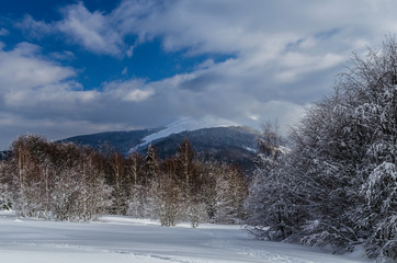 połonina Caryńska Bieszczady 