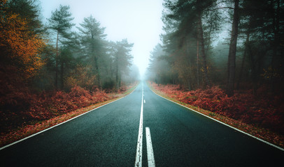 cascada, acuático, naturaleza, bosque, paisaje, arroyo, otoñal, río, caer, árbol, roca, verde, aparcar, montagna, otoño, gemas, cascada, hermoso, luz solar, primavera, beldad, bruma, musgo, naturaleza