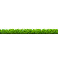 Green Grass Border