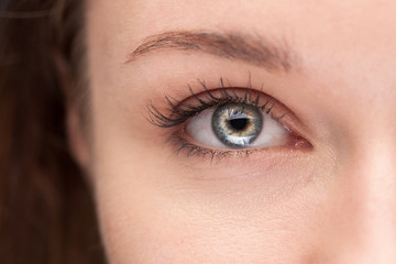 macro shot of beautiful female blue eye