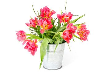 red tulips in a bucket on white background