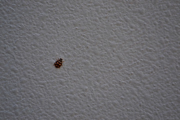 background with texture