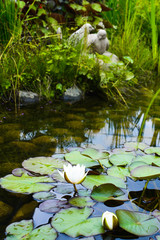Garden pond with water lilies and ceramic sculpture