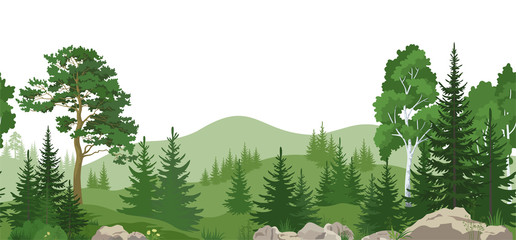 Seamless Horizontal Summer Mountain Landscape with Pine, Birch and Fir Trees, Green Grass on the Rocks. Vector