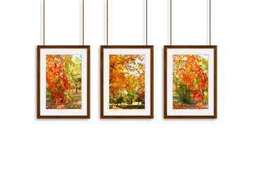 Photo frames with colorful autumn pictures hanging on cords. Interior decor mock up, 3d illustration