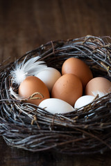 Easter eggs in a nest on dark rustic wooden background
