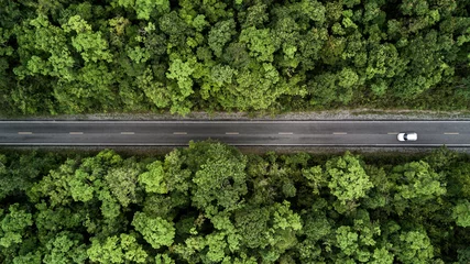 Straße durch den grünen Dschungelwald, Asphaltstraße aus der Luft, die durch den Wald führt, Abenteuer- und Reiseökosystem und Ökologie, gesundes Umweltkonzept und Hintergrund. © Kalyakan