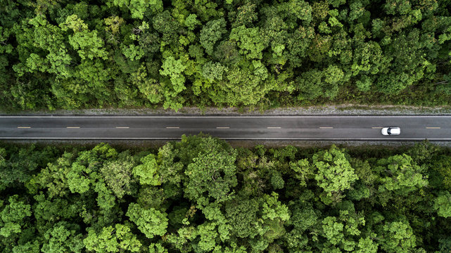 Road through the green jungle forest, Aerial view street asphalt road going through forest, Adventure and travel ecosystem and ecology healthy environment concept and background. 