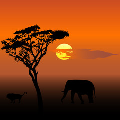 Fototapeta na wymiar Elephant and lion at sunset vector