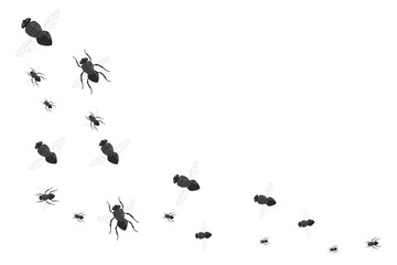 Flock of flies isolated on white background.