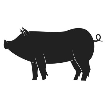 Pig black silhouette. Vector flat icon of farm animal isolated on white background.