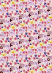 Pastelfarbene Stiefmütterchen