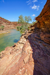 Fototapeta na wymiar Hiking natures window loop trail, kalbarri national park, western australia 17
