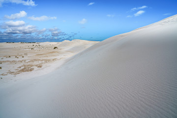 Fototapeta na wymiar white lancelin sand dunes, western australia 26