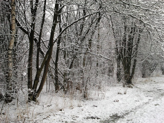 Śnieżne pejzaże © Miroslaw