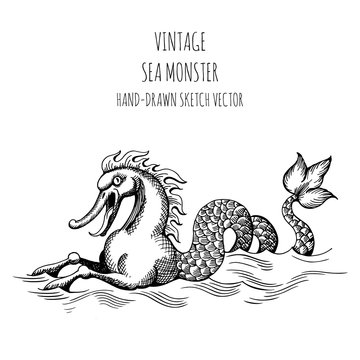 Mythological vintage sea monster. Fragment design of old pirate or fantasy geographical map