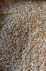 Wheat grains background
