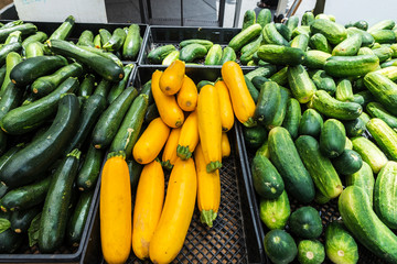 Gherkin and cucumbers in Brooklyn in New York City, USA