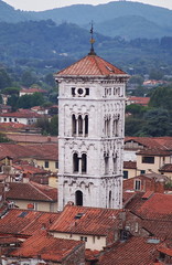 Aerial view from the Guinigi Tower of Lucca, Tuscany, Italy