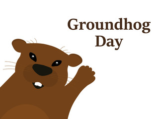 Groundhog on a white background.