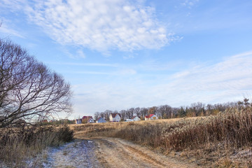 Rural houses near the forest. Late autumn. Ideal landscape. Russia, Moscow region