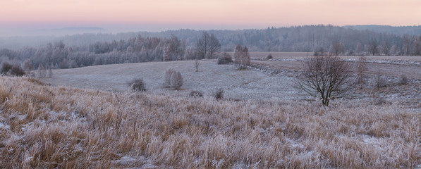 Winter frost panorama late evening