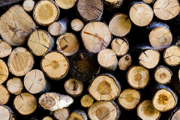 Background of dry chopped firewood logs stacked up on top of each other in a pile.
