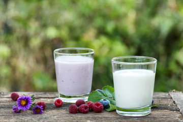 Natural yogurt with fresh berries and biscuit. copy space.