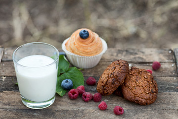 Natural yogurt with fresh berries and biscuit. copy space.