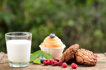 Natural yogurt with fresh berries and biscuit. copy space.