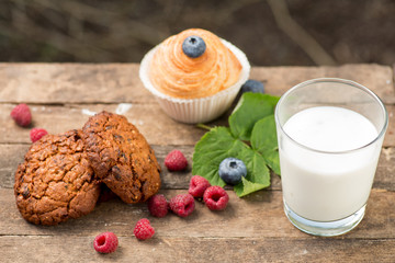 Natural yogurt with fresh berries and biscuit. copy space.