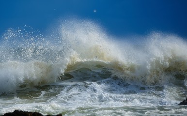 Waves curl and break into the shore