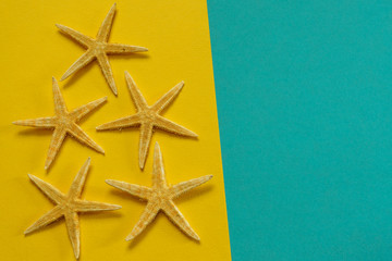 Fototapeta na wymiar Summer background of yellow and blue paper with starfish, symbol