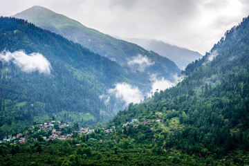 Green Landscape of Manali, HImachal Pradesh, India