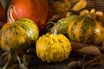 Yellow pumpkins