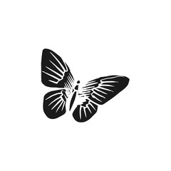 butterfly vector doodle sketch isolated on white background